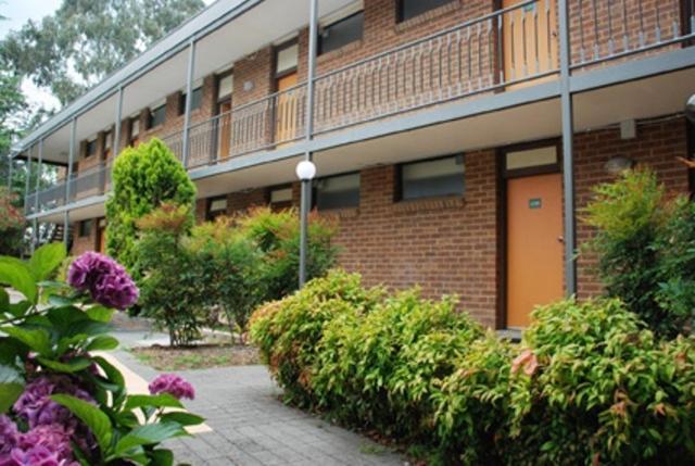 Red Cedars Motel Canberra Exterior foto